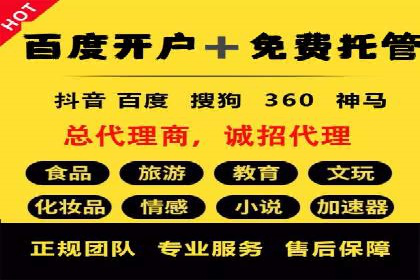 百度SEO推广公司案例分析：成功案例解析